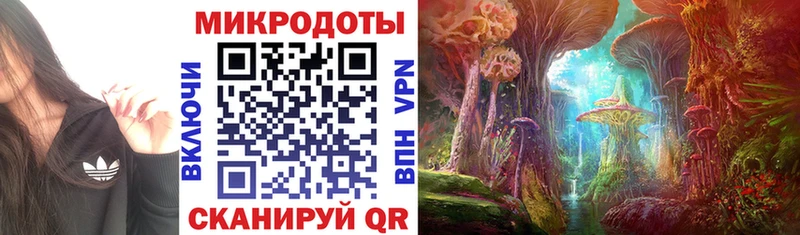 Галлюциногенные грибы Psilocybine cubensis  как найти закладки  Владивосток 
