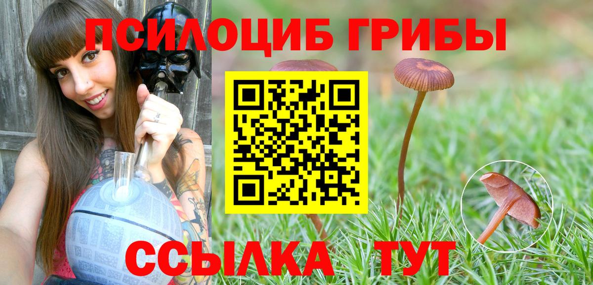 Псилоцибиновые грибы прущие грибы  Галлюциногенные грибы Magic Shrooms  Владивосток  Вход с VPN 