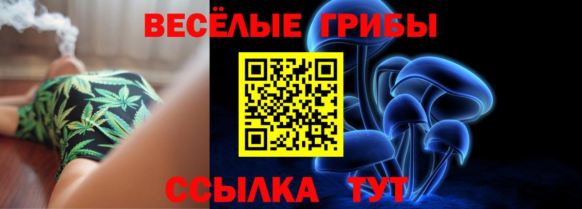 Псилоцибиновые грибы MAGIC MUSHROOMS  хочу наркоту  Псилоцибиновые грибы прущие грибы  Владивосток 